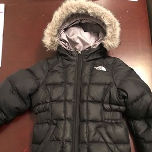 The North face polar down Parka